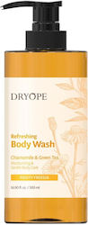 Dryope Αφρόλουτρο σε Gel 500ml Dryope Αφρόλουτρο σε Gel 500ml
