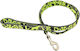 Dog Leash/Lead Strap Love Dogs In Yellow Colour