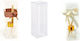 Transparent Long Transparent Box 5.5x5.5x18cm 1 Piece