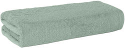 Towel Dilios 70/140 Cm Green