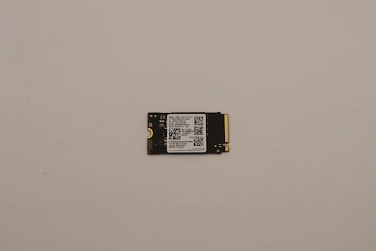 Lenovo SSD 256GB Тип M.2 5SS0W79528