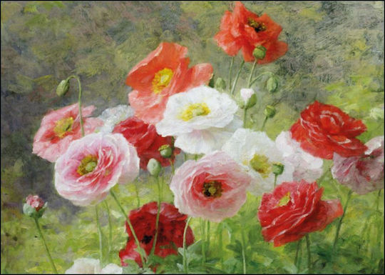 Ευχετήρια Κάρτα Φάκελο Bekking & Blitz Louis Marie Lemaire Cluster Poppies