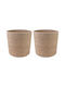 vidaXL Set of 2 Brown Flower Pots