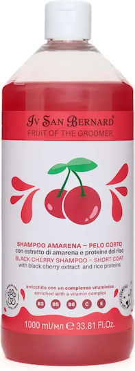 Iv San Bernard Black Cherry Shampoo New Dogs Cats 1l