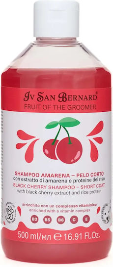 Iv San Bernard Schwarzes Kirschen Shampoo Für Neue Hunde Katzen 500 Ml