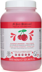Iv San Bernard Black Cherry Shampoo New Dogs Cats 3l Iv San Bernard Black Cherry Shampoo New Dogs Cats 3l