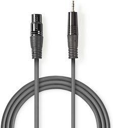 Nedis XLR male - 3.5mm male COTH15300
