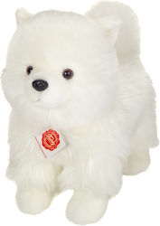 Hermann Teddy Puppy