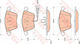 Set Brake Pads Disc Brake Trw Gdb1809