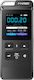 Fnirsi Digitale Messinstrument