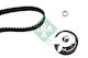 Ina Timing Belt Set 530 0202 10