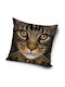 CAT Kids Decorative Pillow Case 40x40cm