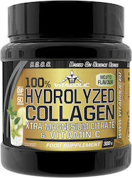 Vitabolic SRL Hydrolyzed Collagen 300gr Mojito