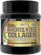 Vitabolic SRL Colagen Hidrolizat 300gr Mojito