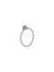 Sanco Iconic Single Bathroom Ring Wall-Mounted With Screws Gray