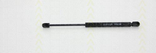 Triscan Kofferraum-Schock 8710 23220