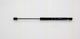 Triscan 8710 69225 Kofferraum-Schock-Absorber