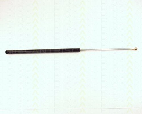 Triscan 8710 16213 Kofferraum-Schock