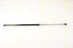 Triscan Hood Shock Absorber 8710 29132