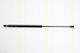 Triscan 8710 25234 Trunk Shock Absorber