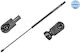Meyle Hood Shock Absorber 140 910 0038