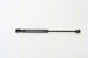 Triscan Trunk Shock Absorber 8710 28226