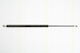 Triscan 8710 25229 Trunk Shock Absorber