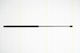 Triscan 8710 18213 Trunk Shock Absorber
