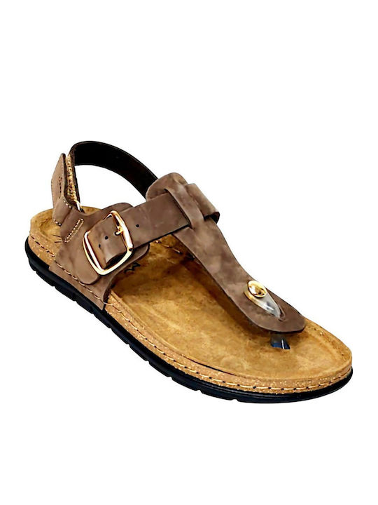 Sunny Sandal Sunny Sandal