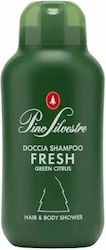 Pino Silvestre Цитрус Душ Гел 250мл Pino Silvestre Цитрус Душ Гел 250мл