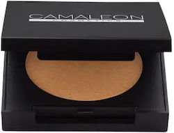 Bronze Highlighter
