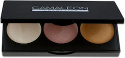 Παλέτα Highlighter