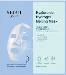 Dermal Jelly Mask Dermal Jelly Mask