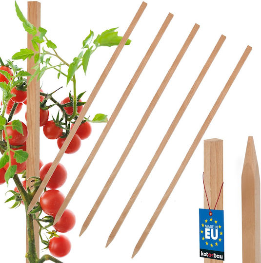 Kotarbau Holzpflanzenspieße Tomaten Gemüse Gartenstützen Bäume Sträucher 60 cm Set 5 Stück