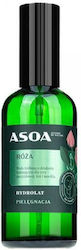 Asoa Hydrolate Liquid Facial Toner 100ml Asoa Hydrolate Liquid Facial Toner 100ml