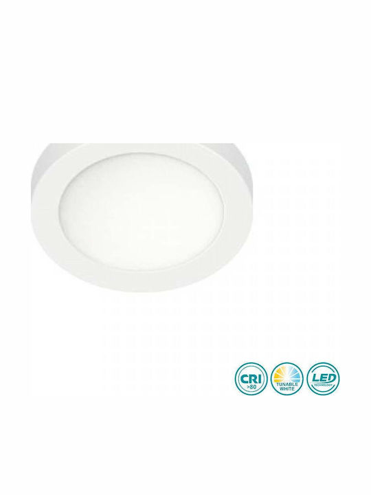 Spot Light Panou LED Exterior 20W cu Lumină Albă Reglabilă