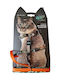 M-pets Urban Style Jungle Cat Eco Set Harness & Leash Neck 20 30 Cm Back 30 42 Cm