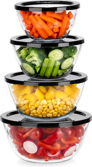Vilde Set Glass Lunch Boxes Transparent 750ml 4 Pieces