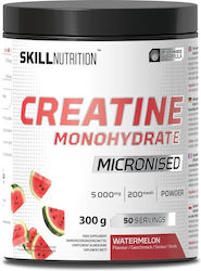 Skill Nutrition Kreatin Monohydrat Mikronisiert Wassermelone 300g Skill Nutrition Kreatin Monohydrat Mikronisiert Wassermelone 300g