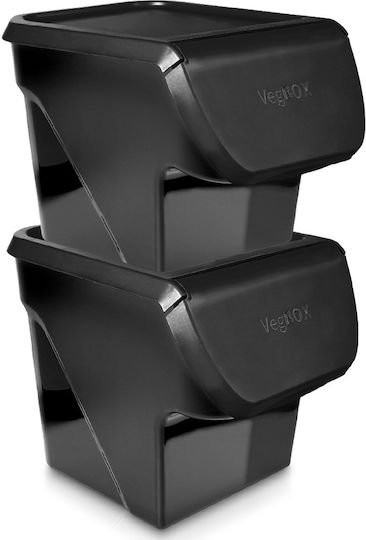 Vilde Set 2 Bucăți Casete Utilizare Generală Cu Capac Plastic Negru 2x26x34cm 2 Bucăți