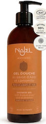 Najel Αφρόλουτρο σε Gel 500ml Najel Αφρόλουτρο σε Gel 500ml