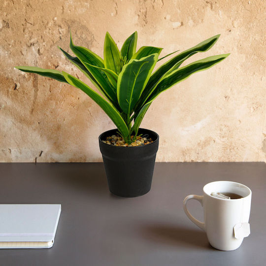 Alista Home Vază Pentru Plante Din Plastic Verde