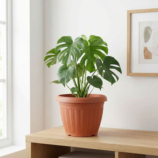 Plastic Flower Pot Terracotta Color Ø25 Cm Indoor Outdoor Plants