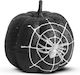 Dovleac Negru de Carnaval pentru Halloween