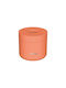 Quokka Quokka Kunststoff Isolierte Lunchbox Orange 600ml