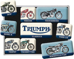 Magnete Decorative Triumph Set 9 Bucăți