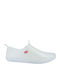 Adams 528-26004 Transparent