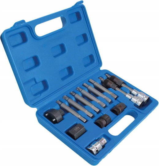 Bosch Alternator Socket Wrench T50 M10