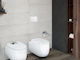 Roca Pl10 Dual Flush Plate for Dual Flush Cisterns