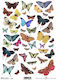 256115 Reispapier Schmetterlinge 1 21x29cm Itd-...
